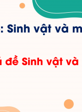 Chủ đề 6 - Ôn tập chủ đề sinh vật và môi trường